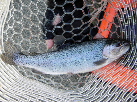 元気がよくてまともな写真はこれだけ(汗)